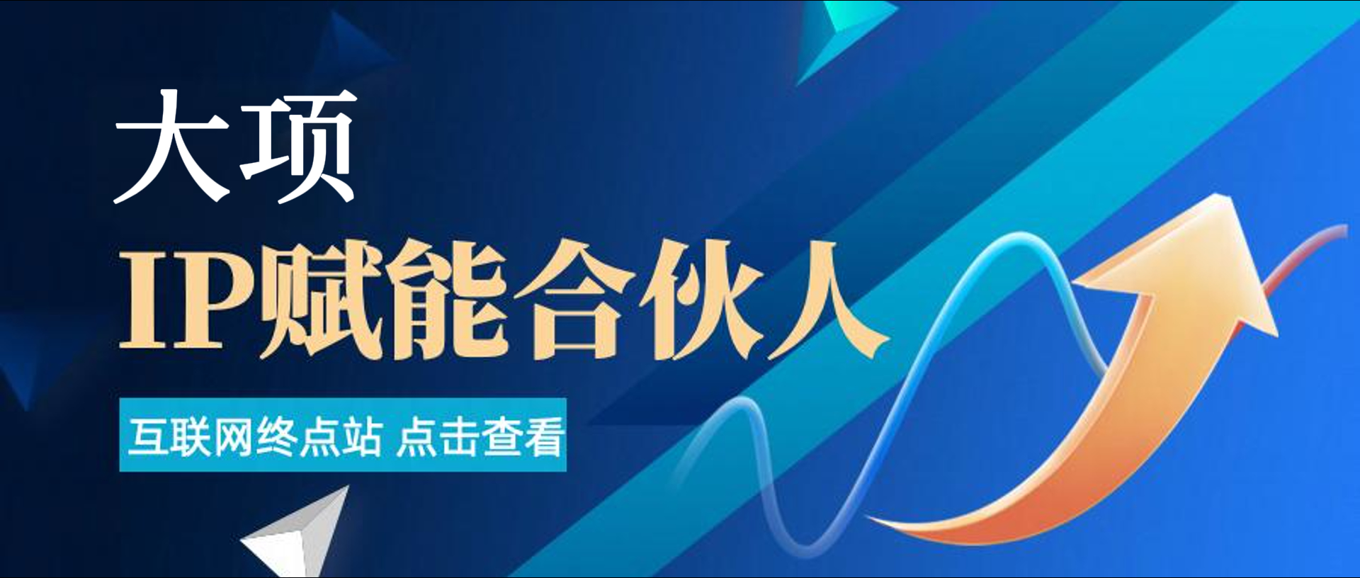 大项IP赋能合伙人介绍！！！