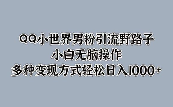 QQ小世界男粉引流野路子,小白无脑操作,多种变现方式轻松日入1000+