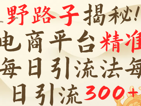 野路子揭秘!电商平台每日引流300+独家揭秘详细流程!
